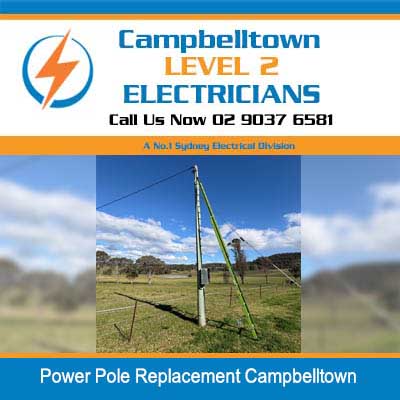 New power pole installed in open rural field in Campbelltown